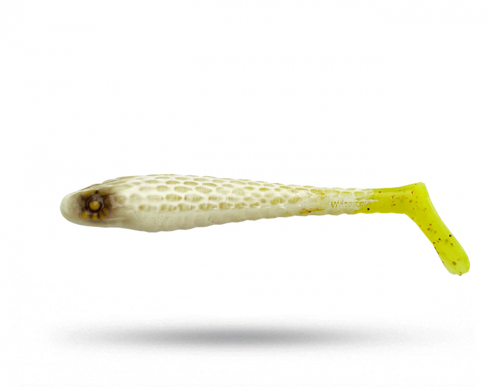 Waterquake Snake Shad 10 cm - Albino Goldtail 4 pk i gruppen Fiskedrag / Abborre & Gösjigg hos Örebro Fiske & Outdoor AB (Snake S10-Albino Goldtail)